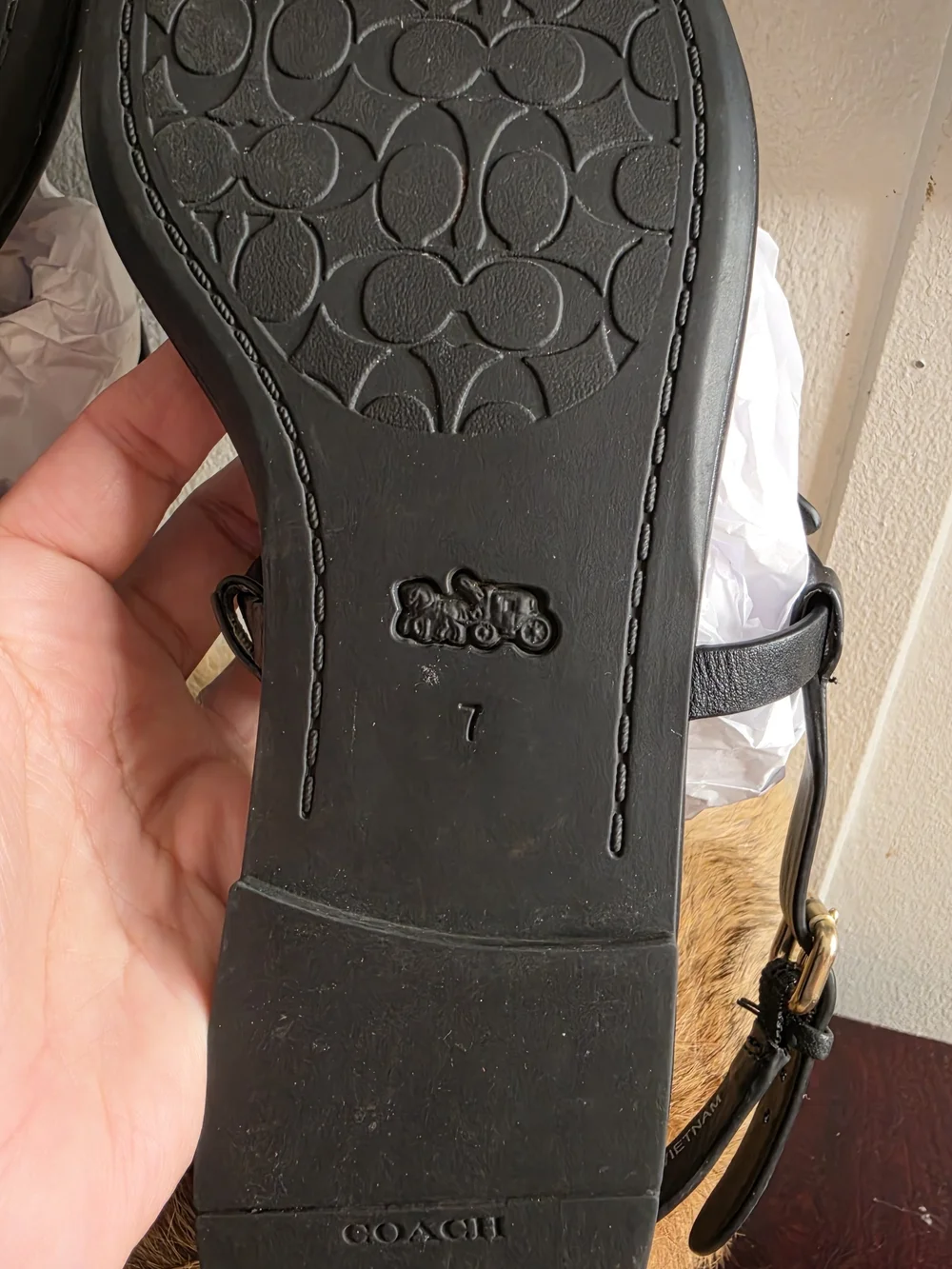 Coach Women's Black Leather Cutout Logo Sandals